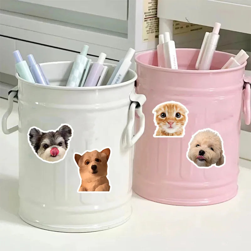 Cat Stickers