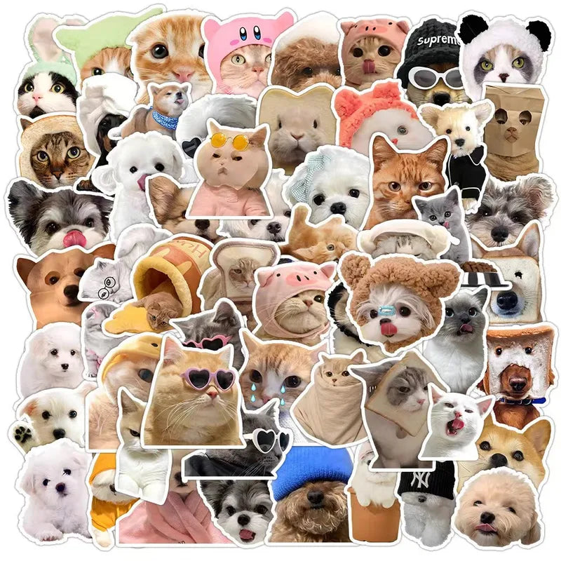 Cat Stickers